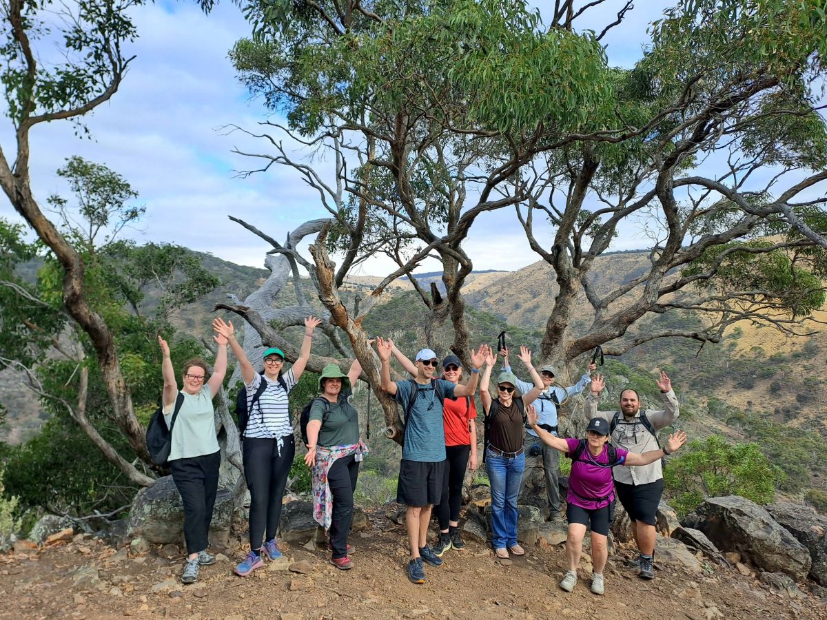 Impact Adventures group on a ridge-line hike, arms raised among the gum trees