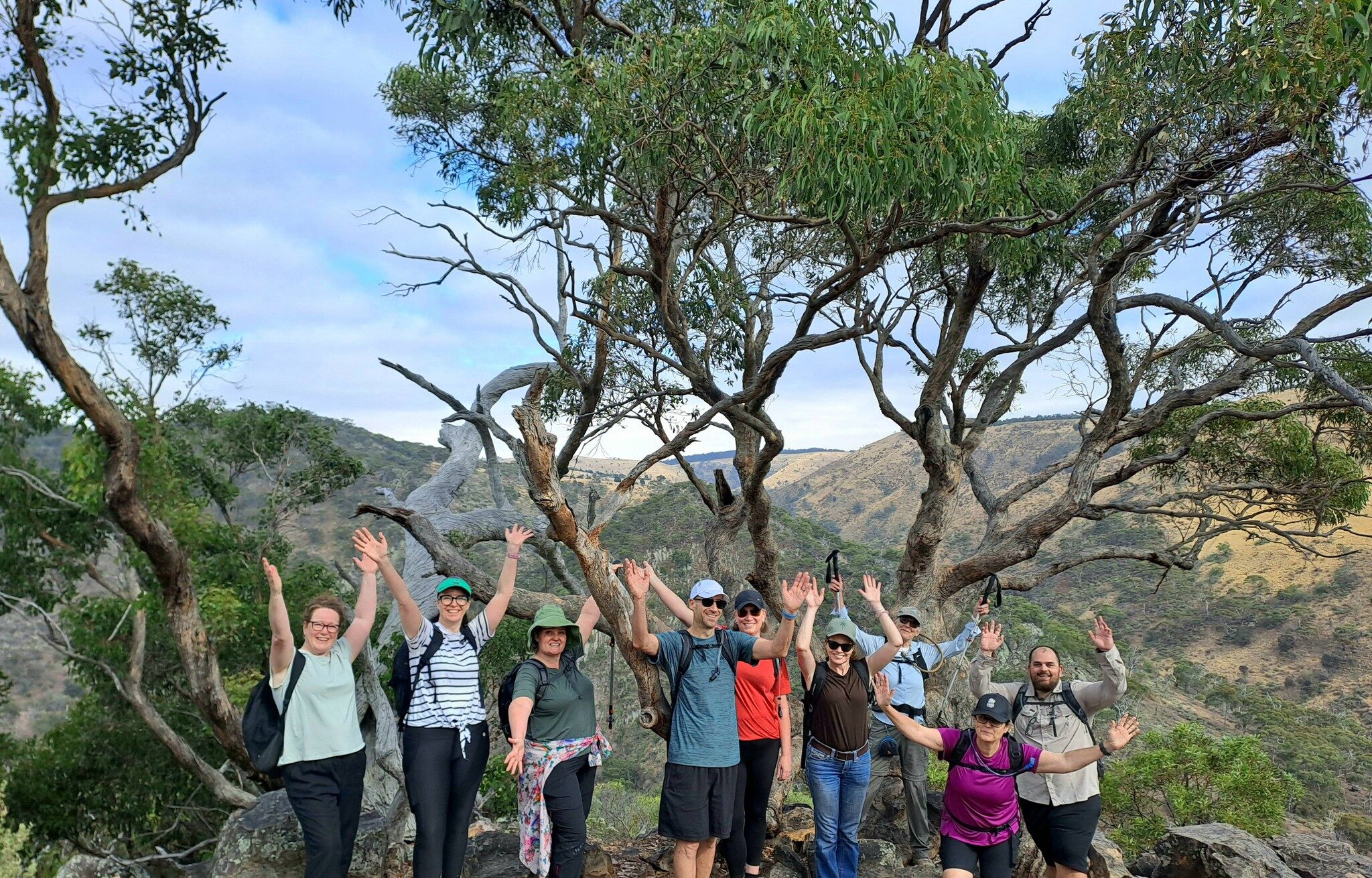 Impact Adventures group on a ridge-line hike, arms raised among the gum trees